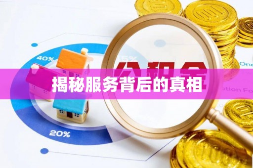雁塔揭秘服务背后的真相