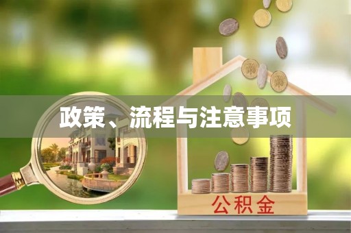 雁塔政策、流程与注意事项