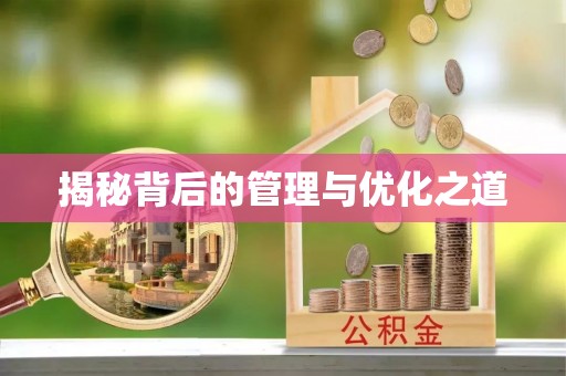 雁塔揭秘背后的管理与优化之道