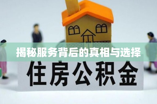 雁塔揭秘服务背后的真相与选择