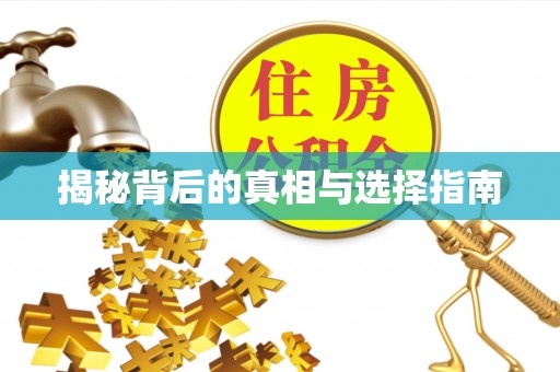 雁塔揭秘背后的真相与选择指南