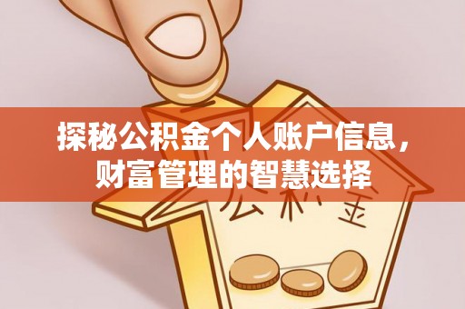 雁塔探秘公积金个人账户信息，财富管理的智慧选择