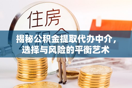 雁塔揭秘公积金提取代办中介，选择与风险的平衡艺术