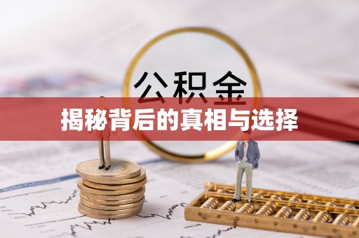 雁塔揭秘背后的真相与选择